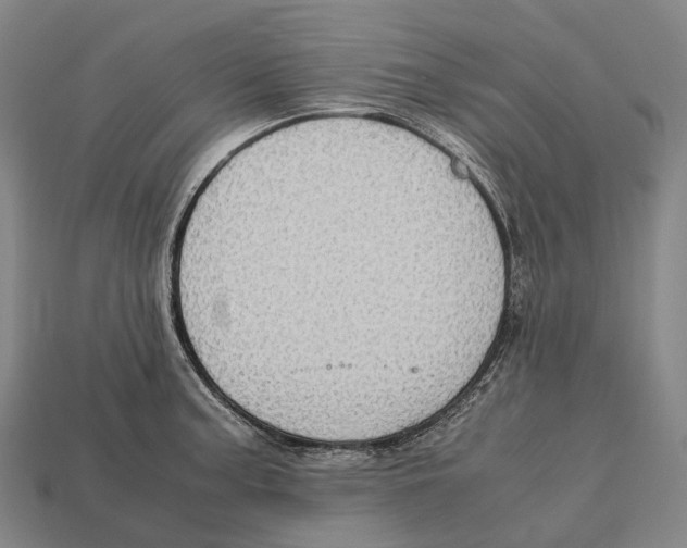 X0000113111187200909251046