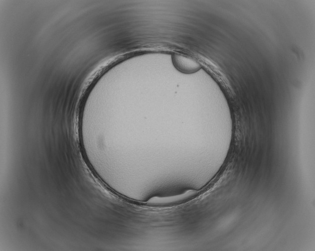 X0000113111188200909251046