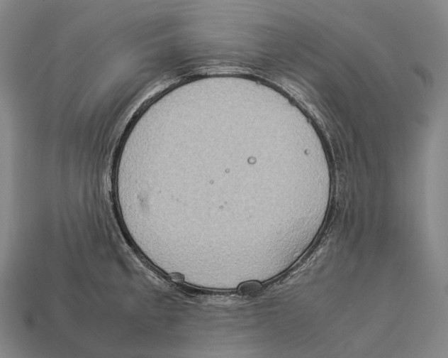 X0000113111189200909251046