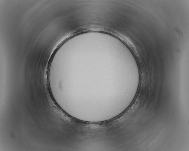 X0000113111190200909251046
