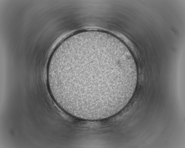 X0000113111191200909251046