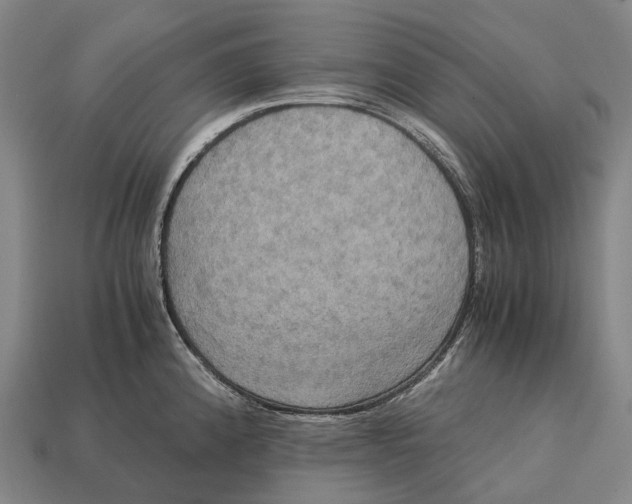 X0000113111192200909251046