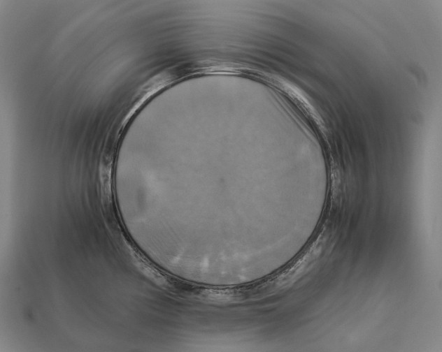 X0000113111194200909251046