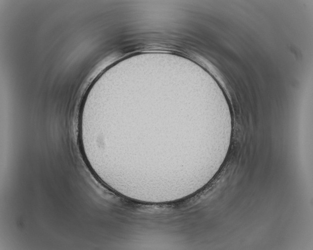 X0000113111195200909251046