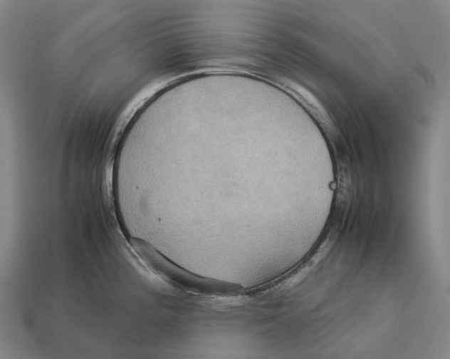 X0000113111196200909251046