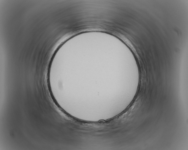 X0000113111197200909251046