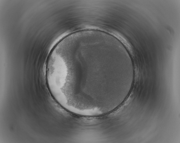 X0000113111198200909251046