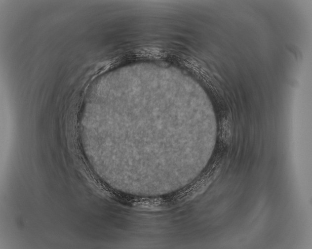 X0000113111201200909251045