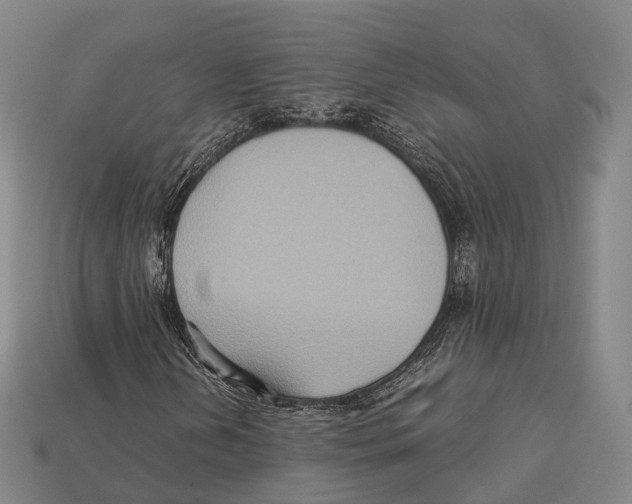 X0000113111202200909251045