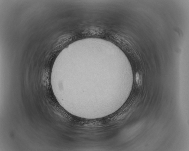 X0000113111203200909251045