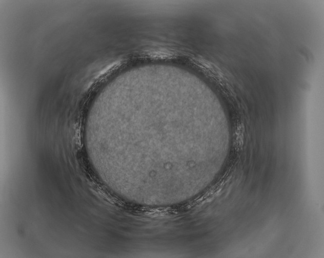 X0000113111205200909251045