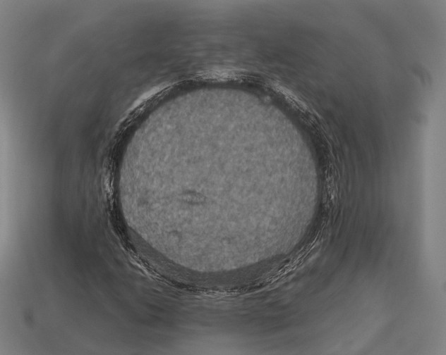 X0000113111206200909251045