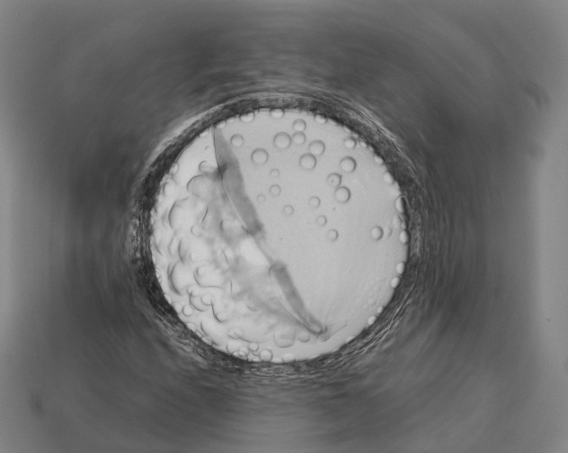 X0000113111208200909251045
