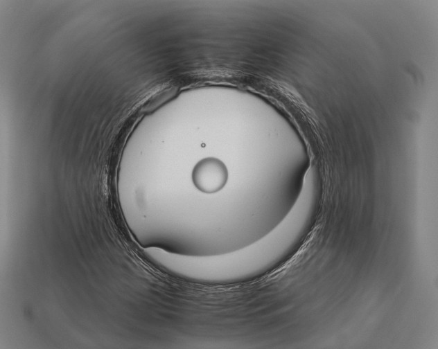 X0000113111209200909251045