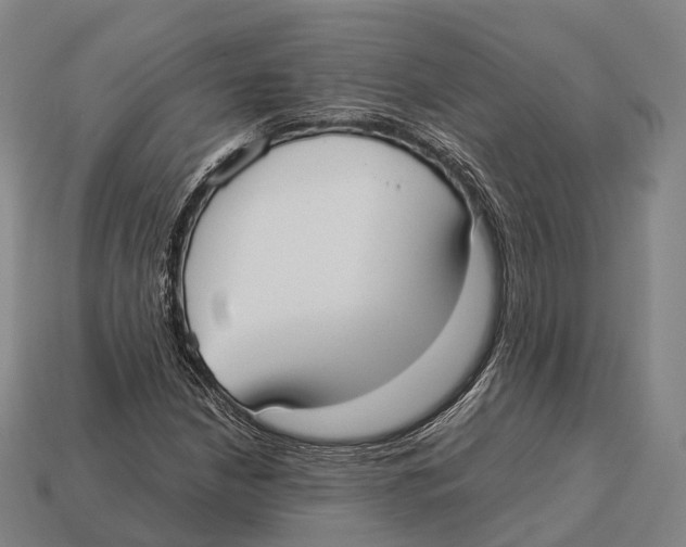 X0000113111210200909251045
