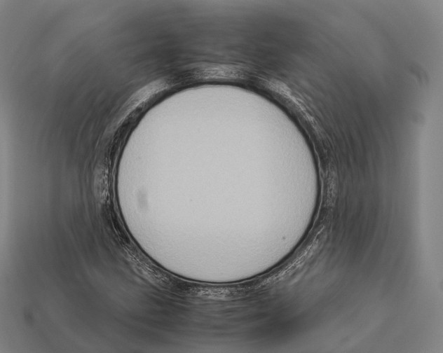 X0000113111211200909251045