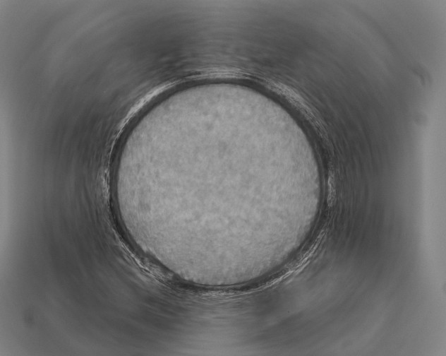 X0000113111212200909251045