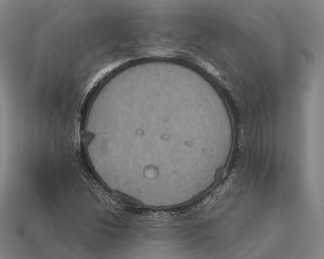 X0000113111214200909251045