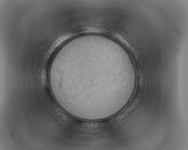 X0000113111215200909251045