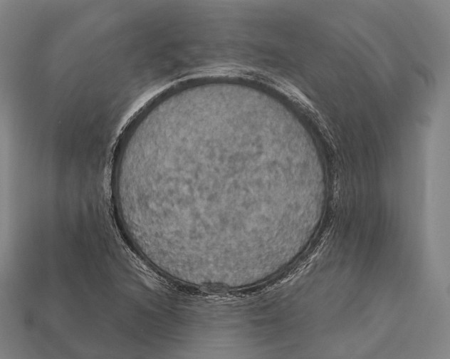 X0000113111216200909251045