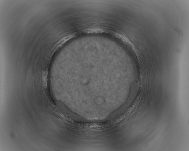 X0000113111217200909251045
