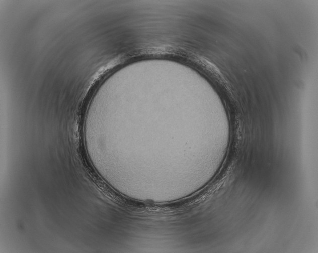 X0000113111218200909251045