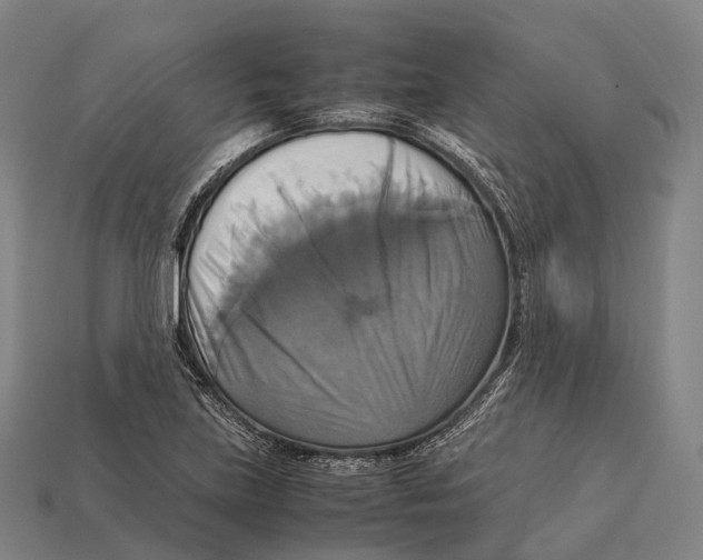 X0000113111219200909251045