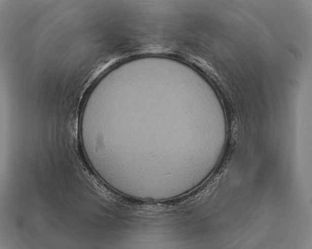 X0000113111220200909251045