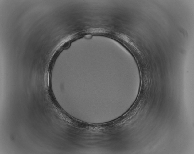 X0000113111221200909251045