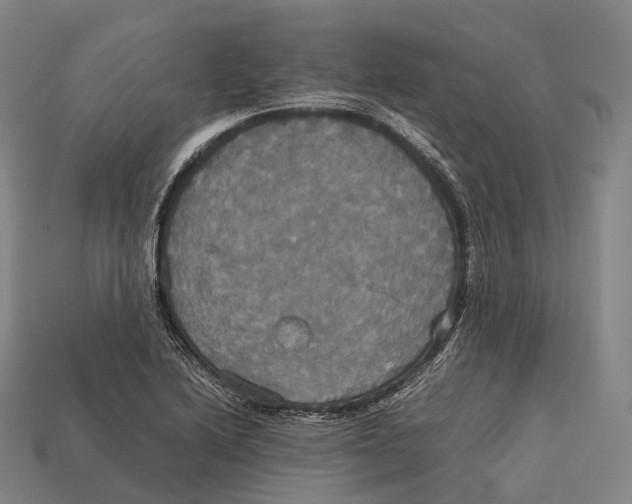 X0000113111222200909251045