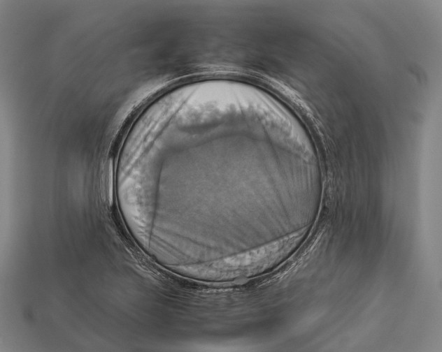 X0000113111223200909251045