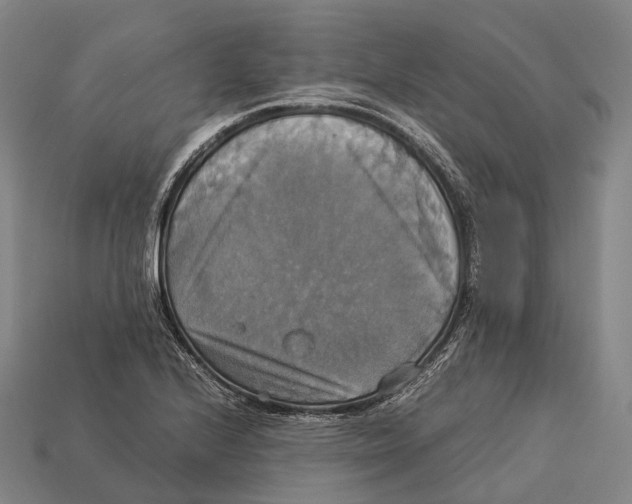 X0000113111224200909251045