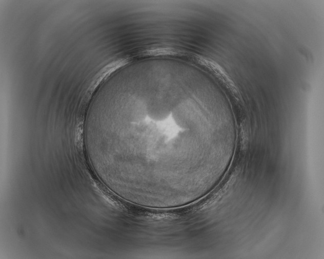 X0000113111225200909251045