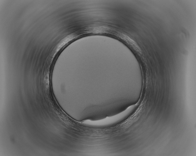X0000113111226200909251045
