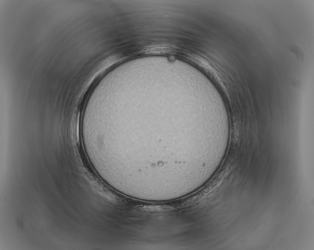 X0000113111227200909251045