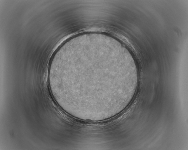 X0000113111228200909251045