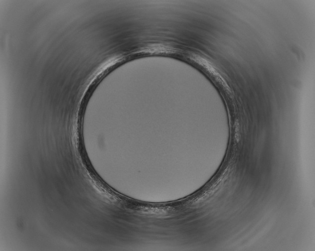 X0000113111229200909251045