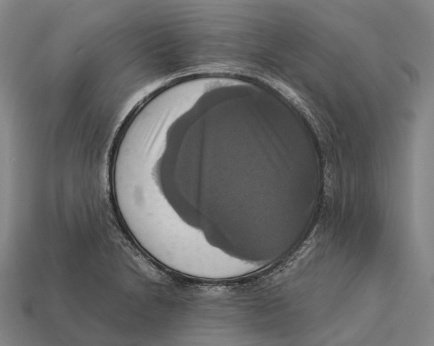 X0000113111230200909251045