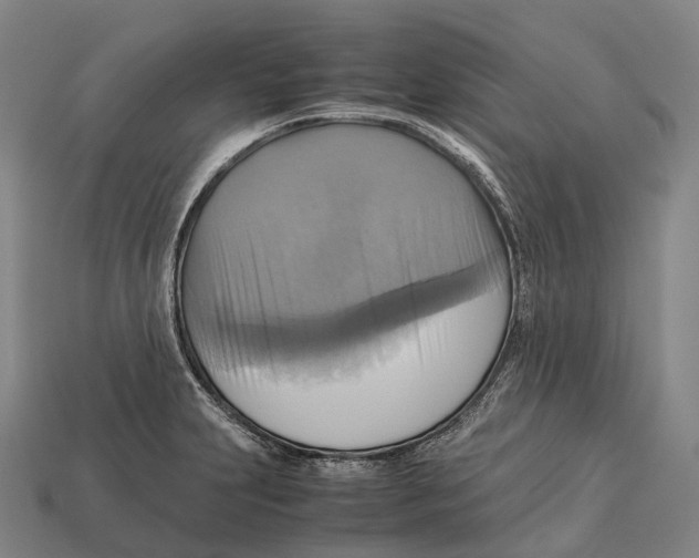 X0000113111231200909251045