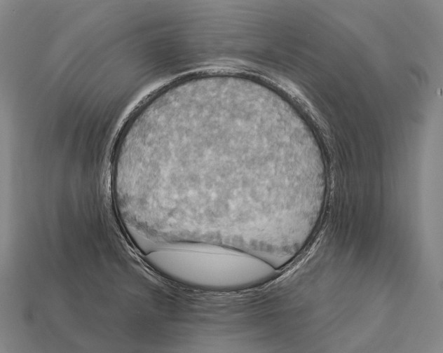 X0000113111232200909251045
