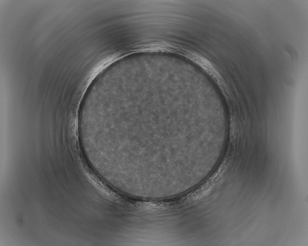 X0000113111234200909251045