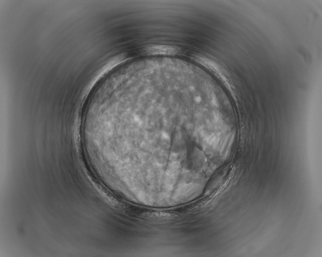 X0000113111235200909251045