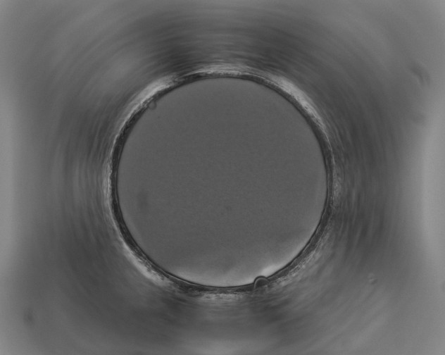 X0000113111237200909251045