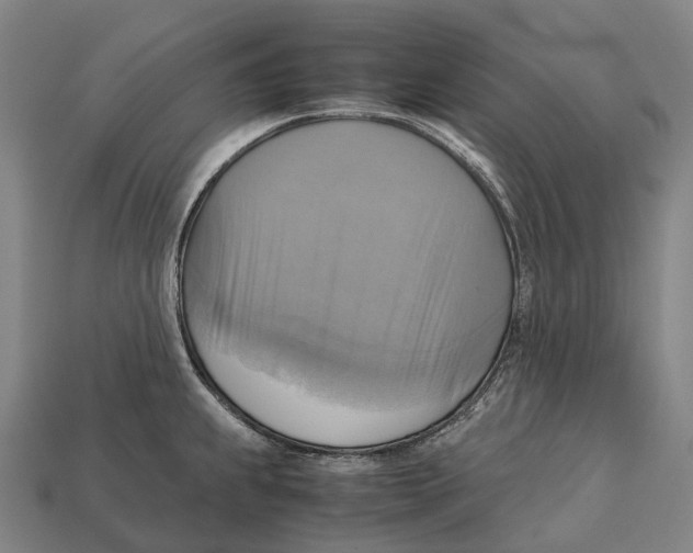 X0000113111239200909251045