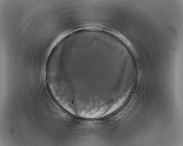 X0000113111240200909251045