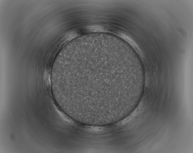 X0000113111241200909251045
