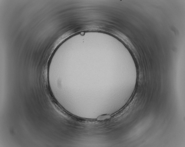 X0000113111242200909251045