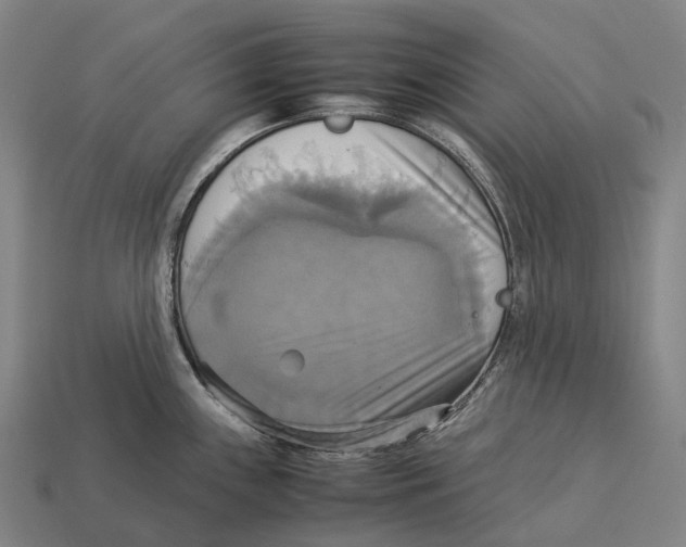 X0000113111243200909251045