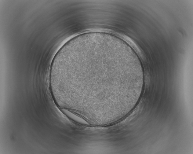 X0000113111244200909251045
