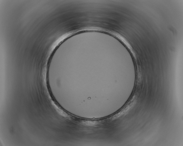 X0000113111245200909251045